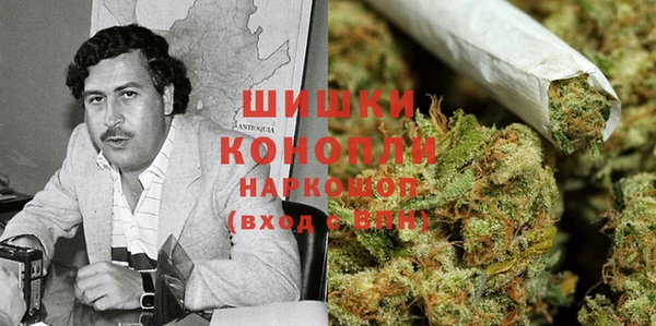 альфа пвп Гусиноозёрск