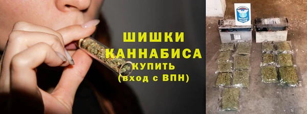 крисы Горнозаводск