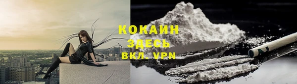 мяу мяу мука Горняк