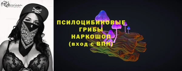 мяу мяу мука Горняк