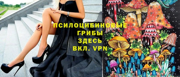 соль курить ск Гусь-Хрустальный