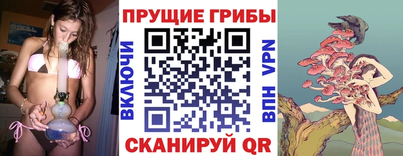 Галлюциногенные грибы Psilocybe  МЕГА ТОР  Гусиноозёрск 